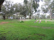 Caravan park green after winter rains
