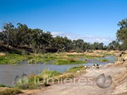 Fish Traps