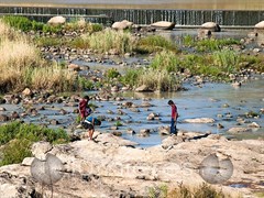Brewarrina