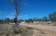 Lightning Ridge