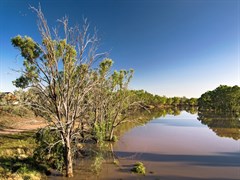 Bourke