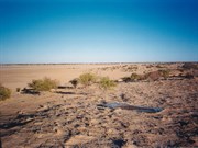 The Birdsville racecourse (1999)