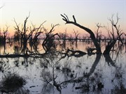 Lake Pamarmaroo