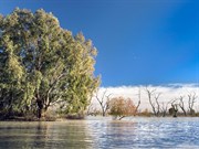© Simon Bayliss/Outback NSW Tourism
