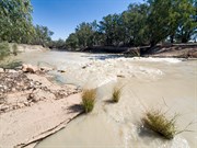 © Simon Bayliss/Outback NSW Tourism