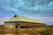 Mungo Woolshed