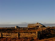 Mungo Woolshed