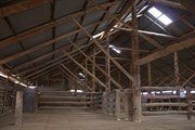 View inside the woolshed