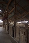 Clippers rack inside the woolshed