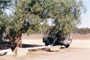 Gilgunnia rest area
