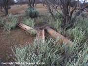Trough remains