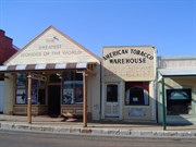 In the main street of Gulgong (2005)