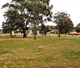 Black Springs