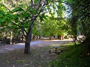 Abercrombie Caves camping area