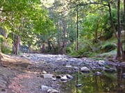 Abercrombie Caves camping area