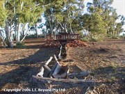 Well 6 with camp area in background