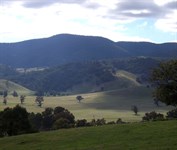 Wee Jasper Valley