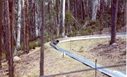 Corin Forest Southern ACT