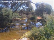 Weld Spring
