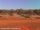 View of Well 10 and surrounds. 