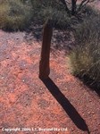 Finger post 60m to the SE of Well 10