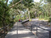 Boardwalk between campsies and beach