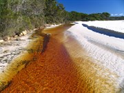 Natural tannins contrasting with white sands