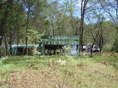 Yadboro Flat - Yadboro Flats camping area