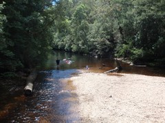 Yadboro Flat - safe swimming for all