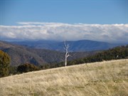 View SW over Byadbo Wilderness Area