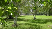 Bicentennial Park