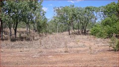 World War II Airstrip Long - Bomber Revetment