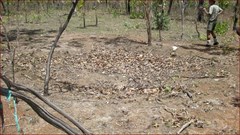 World War II Airstrip Long - Japanese Bomb Crater