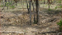 World War II Airstrip Long - Japanese Bomb Crater