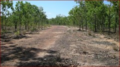 World War II Airstrip Fenton   - Taxiway