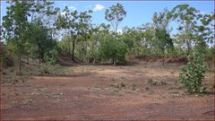 World War II Airstrip Fenton   - Revetment Bay