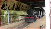 Old Steam Loco at Pine Creek 