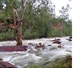 Flooded by cyclone Monica Apr 06