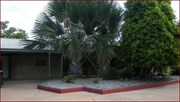 Garden near the Post Office