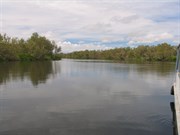 Riverbank scenery at start of cruise