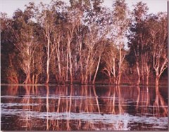 Sandy Billabong - Sandy Billabong at sunset 