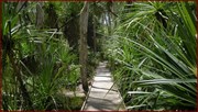 Walking Track to Maguk 