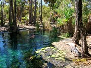 Thermal pool