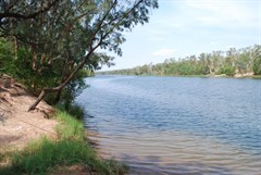 Borroloola - McArthur River