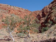 Surrounds at Sandy Blight Junction 