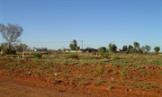 Papunya