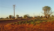 Papunya