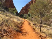 Walking track to Gap