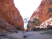 Entrance to Simpsons Gap