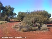 View of Well 14 and surrounds